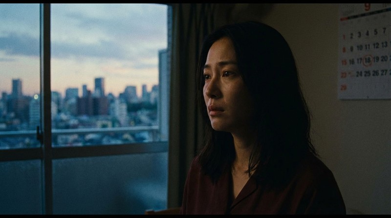 排卵日前後に気持ちが変化しやすい理由のイメージ写真